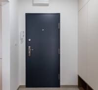 Eingangsbereich in einer 3-Zimmer-Wohnung mit dunklen Türen und Fliesen.