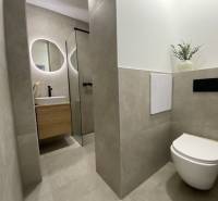 Badezimmer in einer 2-Zimmer-Wohnung mit Toilette, Waschbecken und Spiegel.