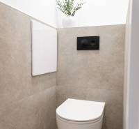 Toilette mit hängendem WC und Zierpflanze in einer 3-Zimmer-Wohnung.