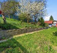 Gärten in Kráľová nad Váhom mit blühendem Baum und Grün auf dem Hang.
