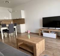 Wohnzimmer mit Küchenzeile, Esstisch und Fernseher in einer 2-Zimmer-Wohnung mit Holzboden.