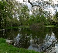Ein See umgeben von Bäumen und grünem Gras in Stupava auf Vincent Šikula.