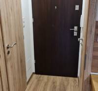 Eingangsbereich eines Einzimmerapartments mit dunklen Türen und einem Boden in Holzoptik.