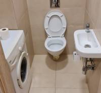 Badezimmer in einem Einzimmerapartment mit Toilette, Waschmaschine und kleinem Waschbecken.