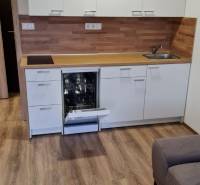 Die Küche eines Einzimmerapartments mit weißen Schränken, einer Spülmaschine und einem Boden in Holzoptik.
