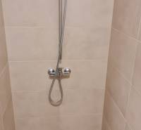 Duschkabine in einem Einzimmerapartment mit einfachem Design und klaren Linien.