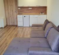 Einzimmerwohnung mit Küchenzeile, grauem Sofa und Boden in Holzoptik.