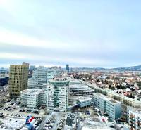 IMG_4311.jpg