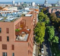 DJI_20241021110529_0299_D.JPG