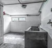 DSC06966-HDR.jpg