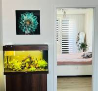 Ein Aquarium und ein Boden mit Holzdekor in einer 3-Zimmer-Wohnung, Übergang in ein helles Schlafzimmer.
