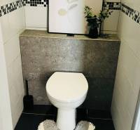 Badezimmer in einer 3-Zimmer-Wohnung mit Toilette, Bild und Pflanze auf der Fensterbank.