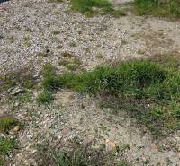 Grundstücke - Wohnen in der Tešedíkovo-Straße, Tešedíkovo mit Grasoberfläche und Bauschutt.
