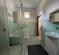 Kúpeľňa v rodinnom dome s priestranným sprchovacím kútom a zelenými obkladačkami.