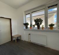 Interiér rodinného domu s podlahou s dreveným dekorom, rastlinami na parapete.