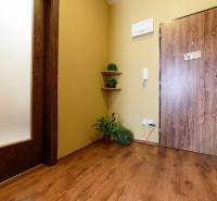 Eingangsbereich einer Zweizimmerwohnung mit Holzboden und Pflanzen.