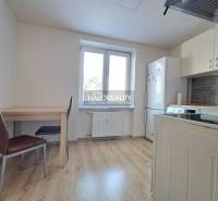 Küche in einer Einzimmerwohnung mit Einrichtung und Boden in Holzoptik.