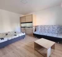 Innenraum einer 1-Zimmer-Wohnung mit Bett, Sofa und Boden in Holzoptik.