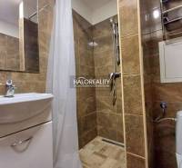 Badezimmer mit Dusche und Waschbecken in einer Einzimmerwohnung, braune Fliesen.
