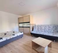 Einzimmerwohnung mit Bett, Sofa, Schrank und Tisch. Boden mit Holzdekor.
