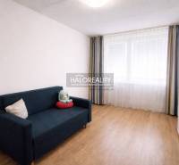 Ein Zimmer in einer 4-Zimmer-Wohnung mit einem blauen Sofa und einem Boden in Holzoptik.