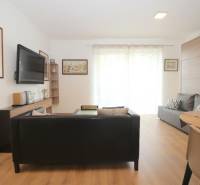 Einzimmerwohnung mit Sofa, Fernseher, Holzboden und großen Fenstern.