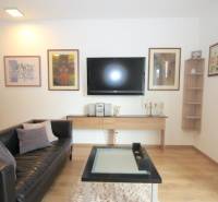 Wohnzimmer in einer Einzimmerwohnung mit Fernseher, Ledersofa und Holzboden.