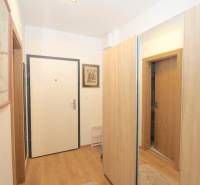 Eingangsbereich mit Holzboden in einer Einzimmerwohnung.
