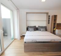 Schlafzimmer mit ausziehbarem Bett und Boden in Holzoptik in einer Einzimmerwohnung.