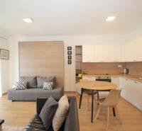 Wohnzimmer mit Küche in einer Einzimmerwohnung mit einem Boden in Holzoptik.