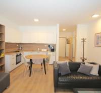 1-Zimmer-Wohnung mit Küche, Boden mit Holzdekor, Sofa und Esstisch.