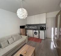 Einzimmerwohnung mit Sofa, Küchenzeile, Schrank und Holzboden.