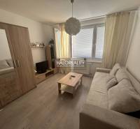 Ein Studio mit einem Boden in Holzoptik, einem Sofa und einem Schrank.