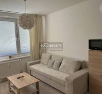 Einzimmerwohnung mit einem hellen Sofa, Couchtisch und Mikrowelle; Boden mit Holzdekor.