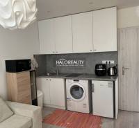 Küche in einem Einzimmerapartment mit Spüle, Waschmaschine, Kühlschrank und Mikrowelle, heller Innenraum.
