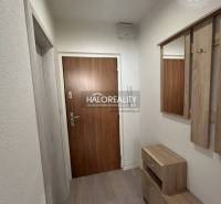 Einzimmerwohnung mit Holzboden, Flur mit Möbeln und Garderobe.