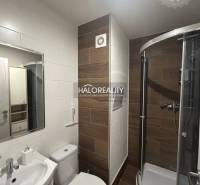 Kompaktes Badezimmer in einem Studio-Apartment mit Eckdusche und Wandverkleidung in Holzoptik.