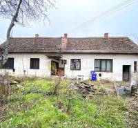 Ein altes Familienhaus erwartet eine Renovierung, im Garten gibt es wilde Vegetation und Unordnung.