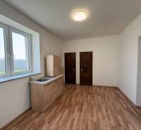 Ein Zimmer mit Küchenzeile, Holzboden, zwei Holztüren.