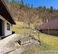 Der Garten bei der Hütte in Moštenica mit Blick auf den Hang mit Wald.
