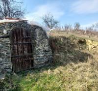 Steinerner Eingang zum Keller, umgeben von Natur in den Weinbergen in der Nähe von Zlaté Moravce.