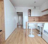 Einzimmerwohnung mit Kochnische, Bartresen und Boden mit Holzdekor.