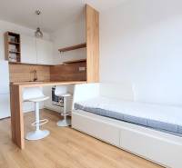 Einzimmerwohnung mit Holzboden, Kochnische, Kühlschrank und Bett.