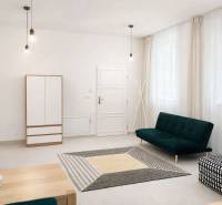 Wohnzimmer in einer 2-Zimmer-Wohnung mit Sofas, einem Schrank und einem Boden in Holzoptik.