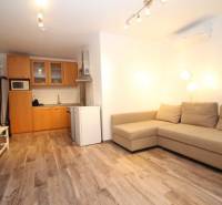 Wohnzimmer einer Einzimmerwohnung mit Kochnische und Holzboden.