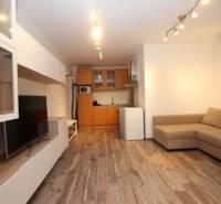 Wohnzimmer mit Küchenzeile, Sofa, Holzboden und Fernseher in einer Einzimmerwohnung.