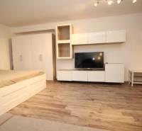 Schlafbereich mit Fernseher, Stauraum und Holzboden in einer Einzimmerwohnung.
