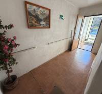 Der Flur des Einfamilienhauses mit einer Blume, einem Bild und einem Boden mit Holzdekor.