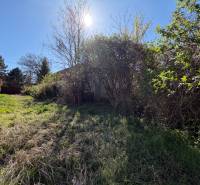 Der Garten beim Einfamilienhaus in der Farská-Straße in Horné Lefantovce, überwuchert mit Gras und Sträuchern.