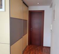 Flur in einer 3-Zimmer-Wohnung mit Holzboden und Einbauschrank.